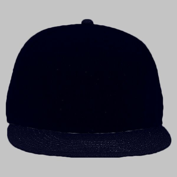 OTTO CAP 6 Panel Mid Profile Snapback Hat Thumbnail