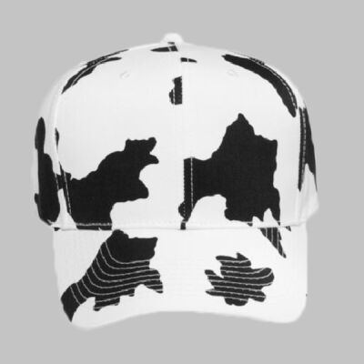OTTO CAP® 6 Panel Mid Profile Baseball Cap Thumbnail