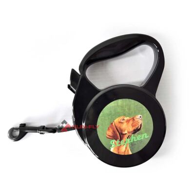 Large Retractable Pet Leash Thumbnail